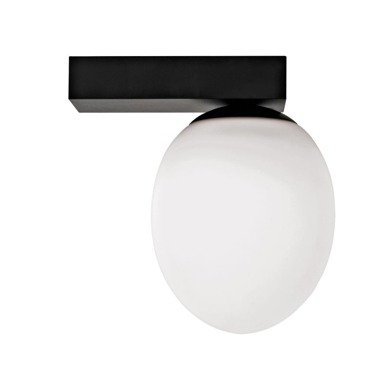 ICE EGG C